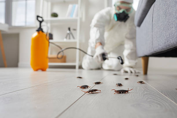 Trusted Fumigation Services service in White City, UT - Nex Pest Control